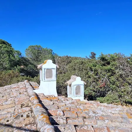 Ibiscus, Notteri * Villasimius