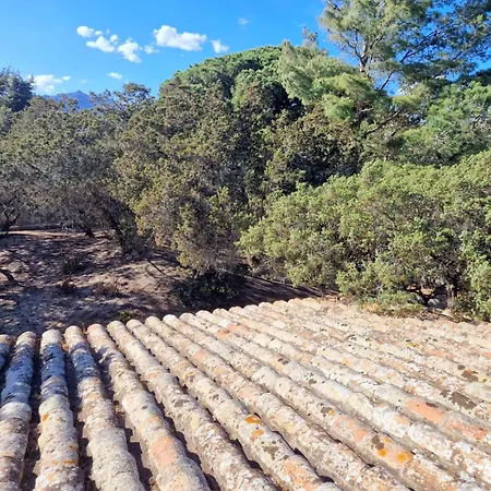 Ibiscus, Notteri Dom wakacyjny