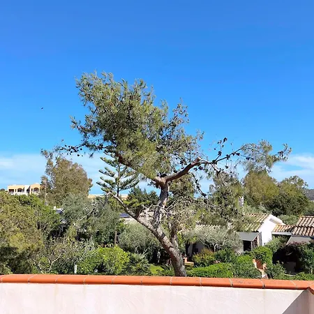 Dom wakacyjny Ibiscus, Notteri