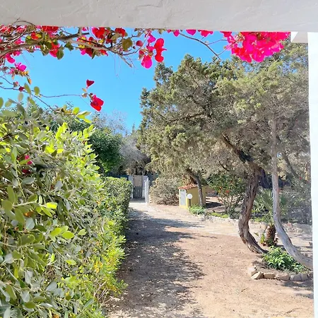 Dom wakacyjny Ibiscus, Notteri Villasimius