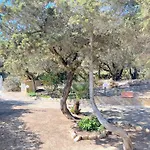 Ibiscus, Notteri * Villasimius