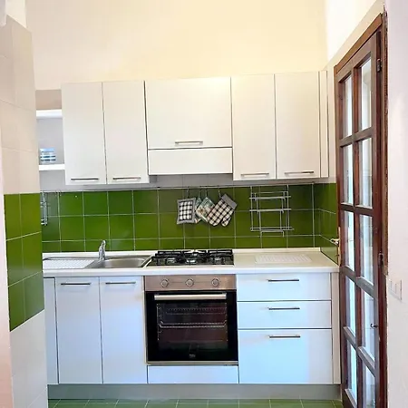 Ibiscus, Notteri וילסימיוס