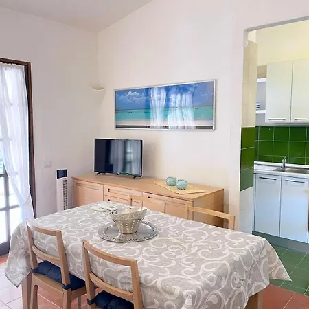 Ibiscus, Notteri וילסימיוס