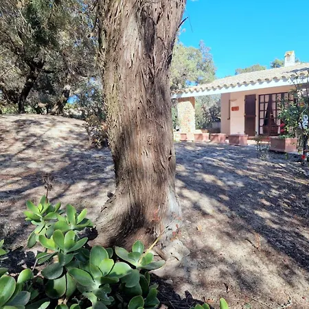 Holiday home Ibiscus, Notteri