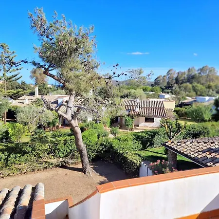 Ibiscus, Notteri * וילסימיוס