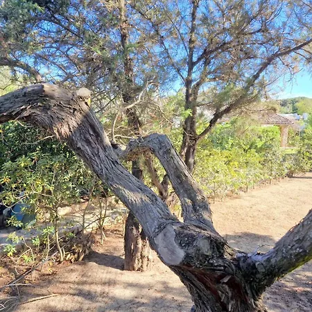 Ibiscus, Notteri בית נופש