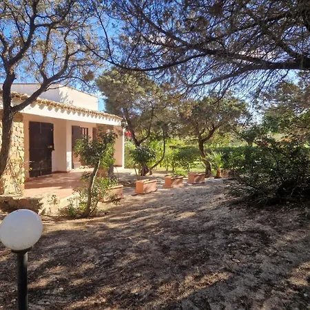 Ibiscus, Notteri וילסימיוס