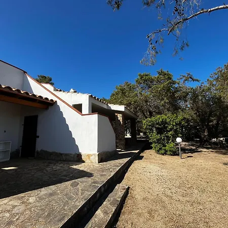 Ibiscus, Notteri Villasimius