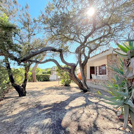 Ibiscus, Notteri Holiday home *